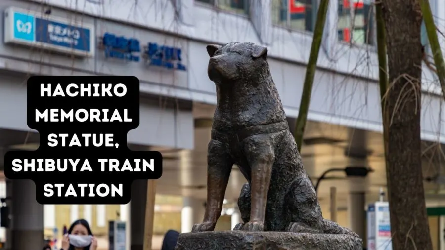 Hachiko memorial statue in Tokyo at the Shibuya train station