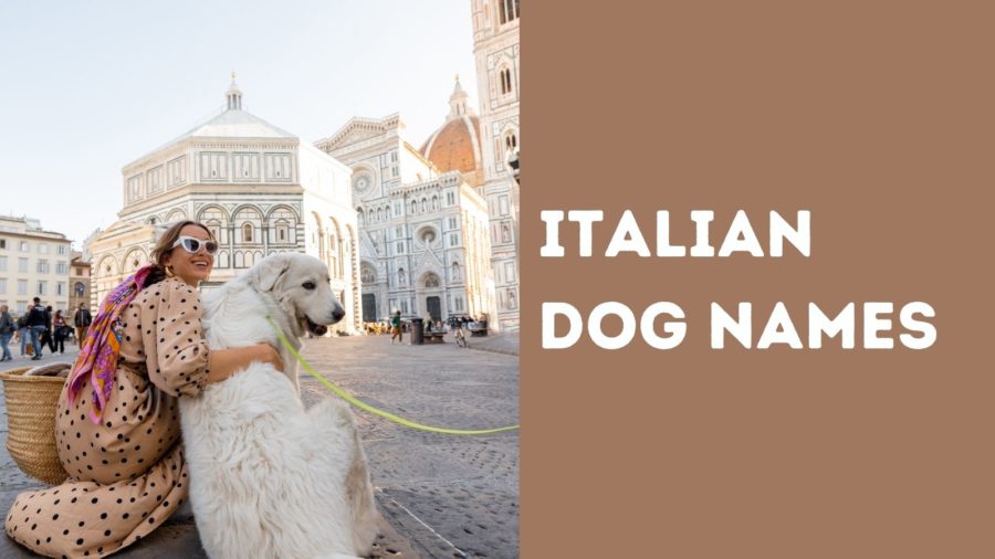 Italian Dog Names - Italian names for dog, Italian girls names 