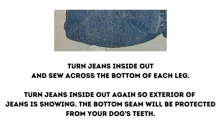 DIY Chew-Proof Dog Bed from Jeans