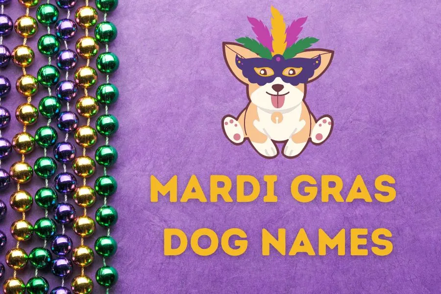 Mardi Gras dog names