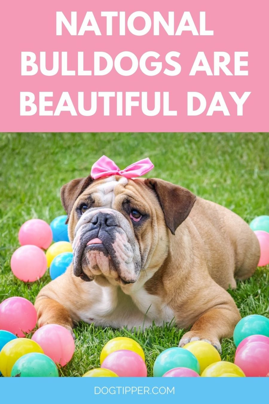 Bulldogs are Beautiful Day