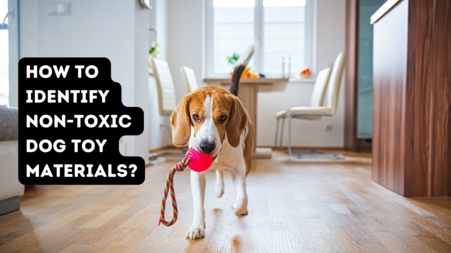 How to Identify Non-Toxic Dog Toy Materials