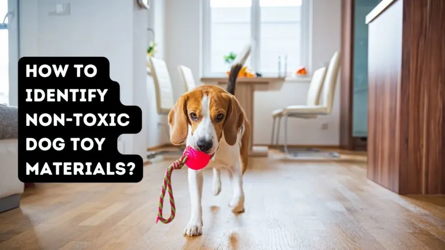 How to Identify Non-Toxic Dog Toy Materials
