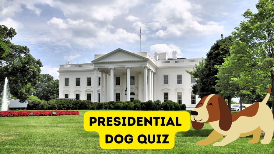 Dogs in Politics Day Quiz