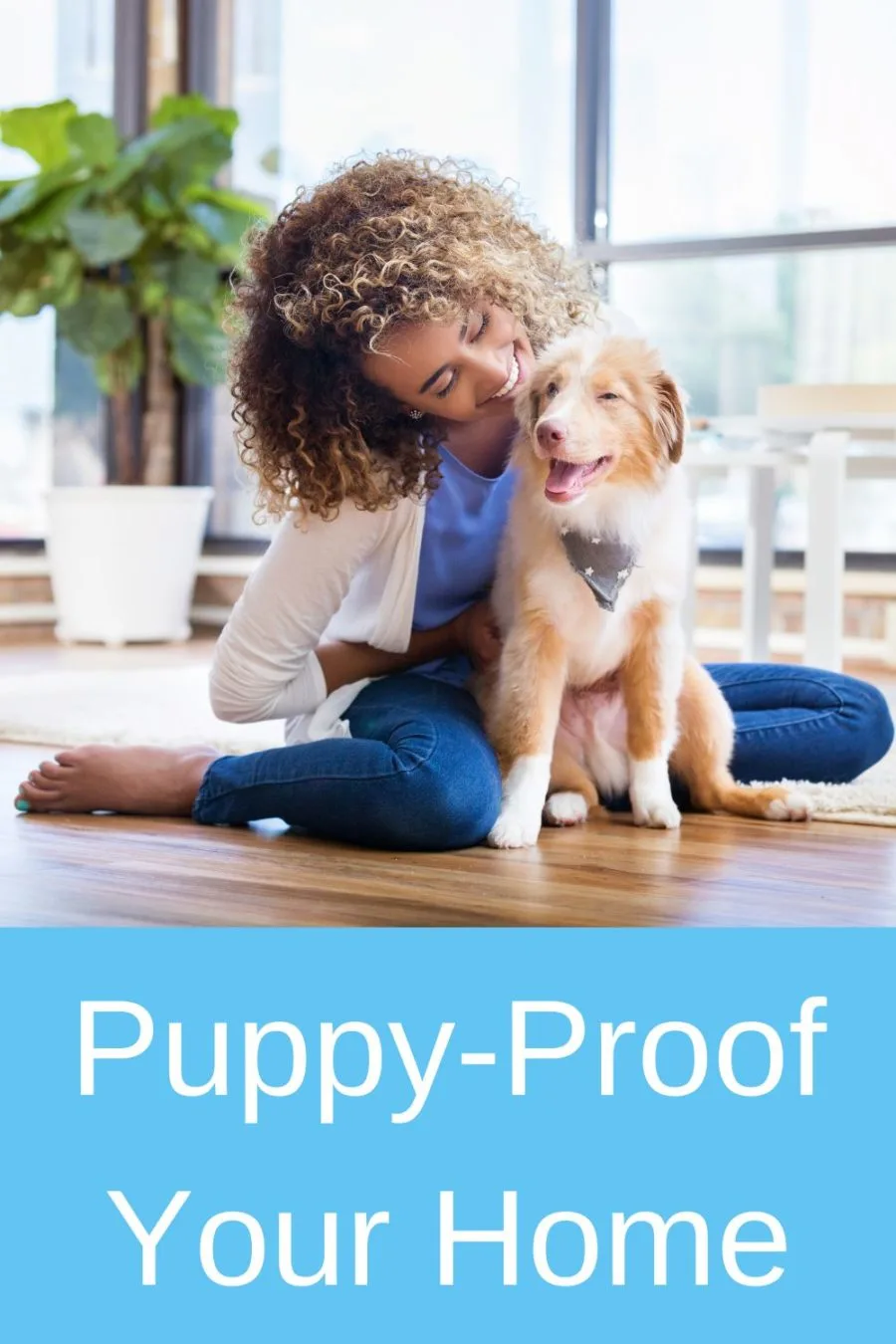 Best Practices to Puppy-Proof Your Home