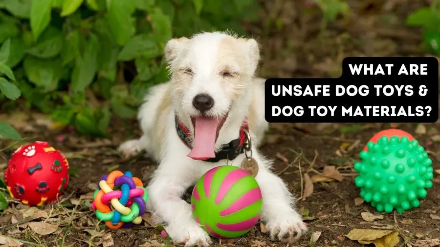 Unsafe Dog Toys & Dog Toy Materials