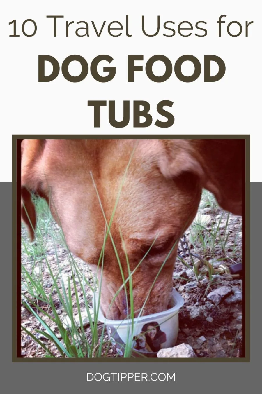 10 Travel Uses for Dog Food Tubs!