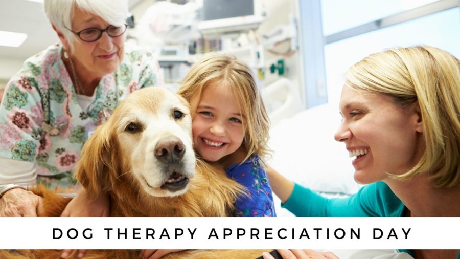 Dog Therapy Appreciation Day