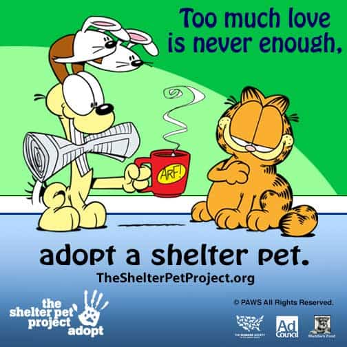 Odie in The Shelter Pet Project campaign