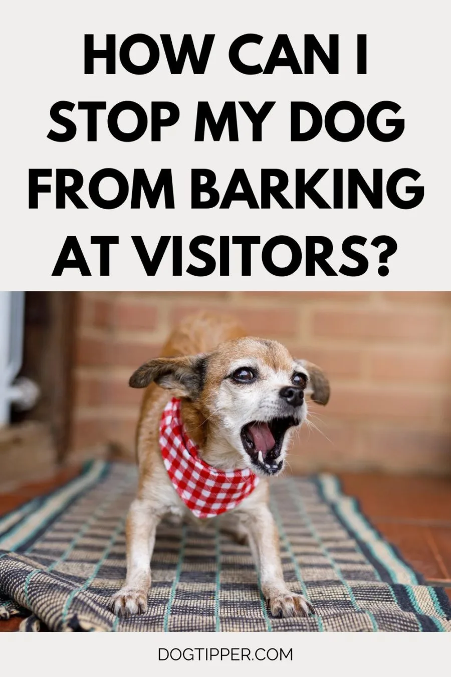 How Can I Stop My Dog From Barking at Visitors?