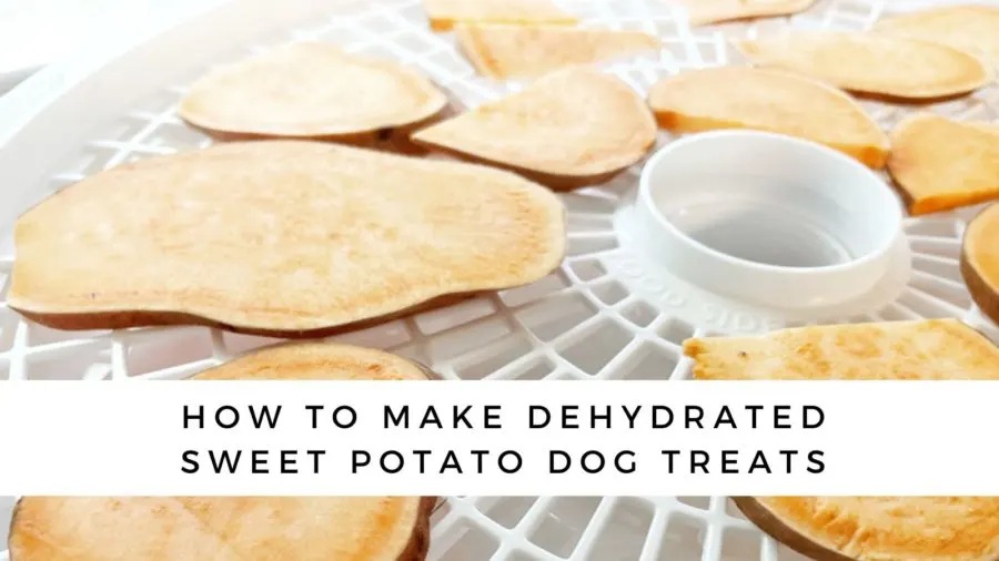How to Make Dehydrated Sweet Potato Dog Treats