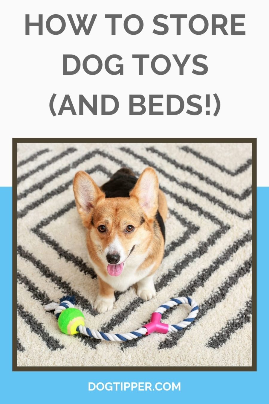 How to Store Dog Toys (and Beds!)