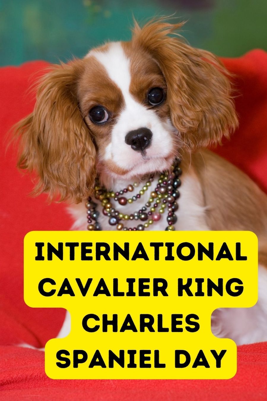 International Cavalier King Charles Spaniel Day