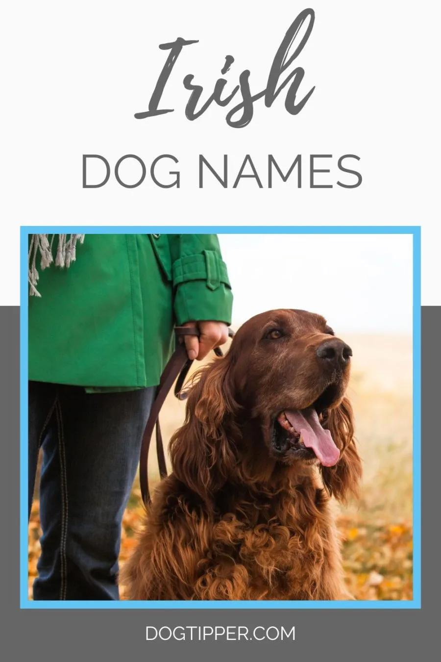 Irish Dog Names