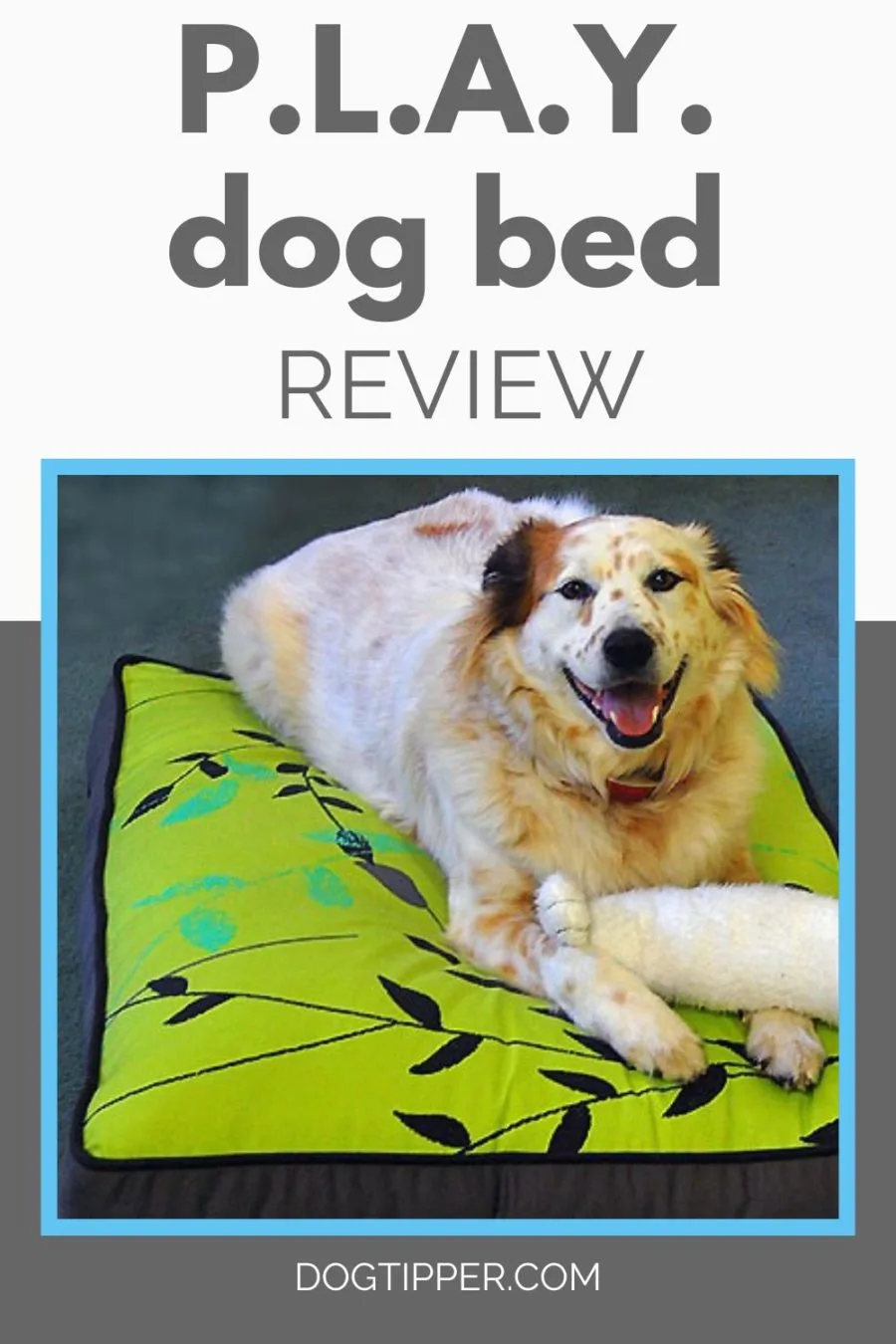 P.L.A.Y. Dog Bed Review