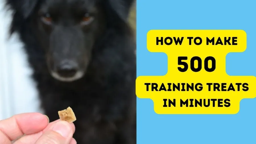 How to make baby food training treats--make 500 training treats in minutes!