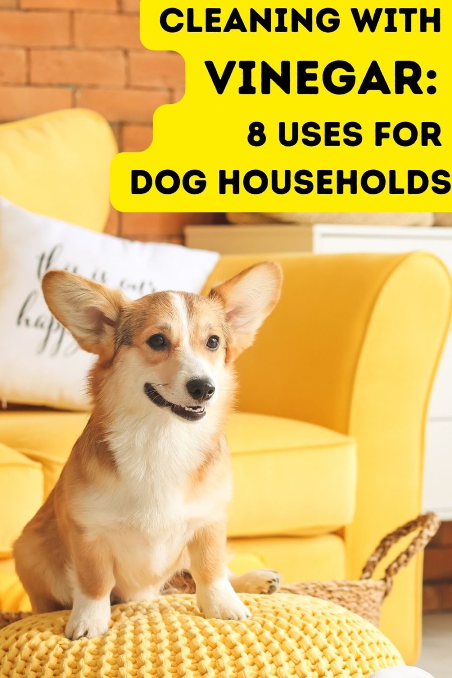Cleaning with Vinegar: 8 Uses for Dog Households
