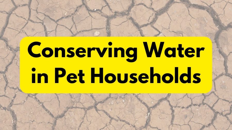 Conserving Water in Dog Households - 5 Tips During Times of Drought