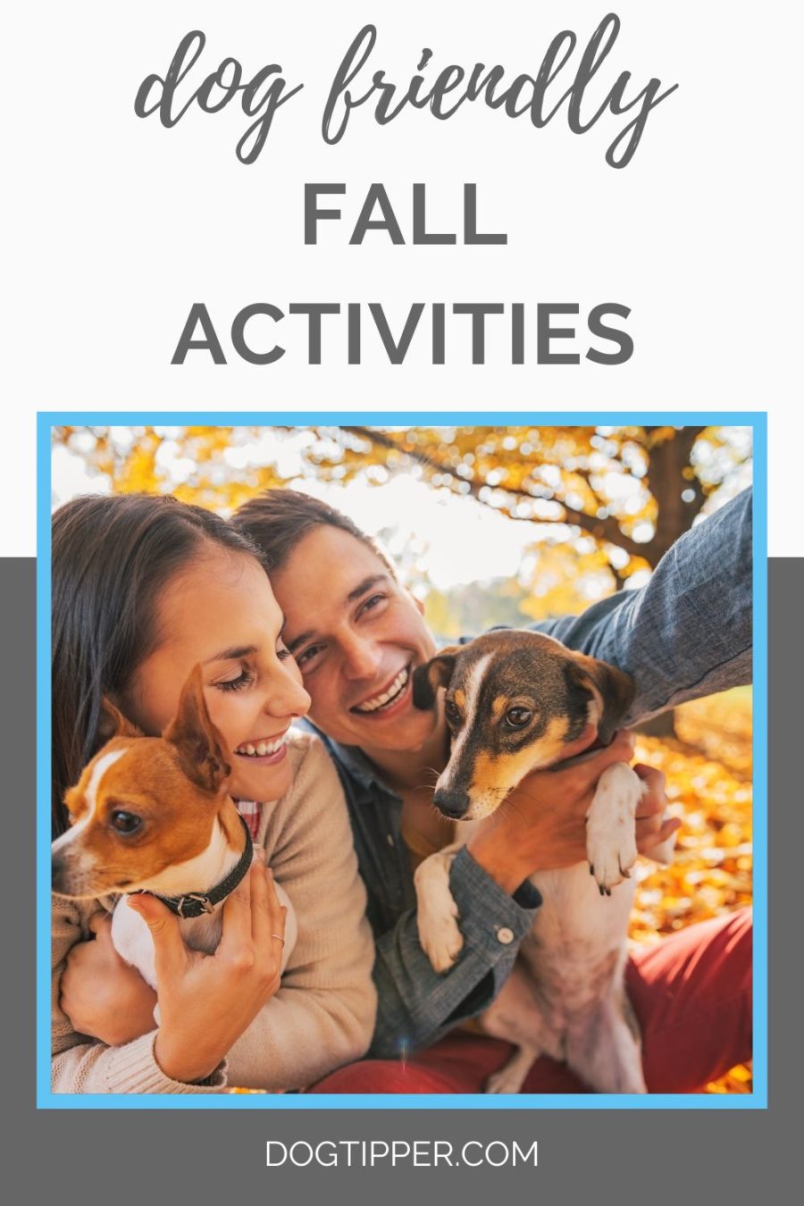 Top Dog-Friendly Fall Activities