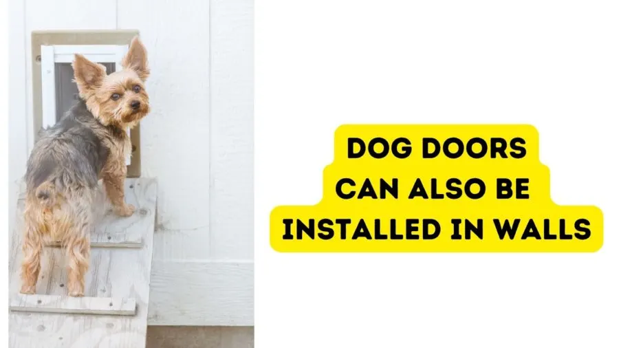dog doors can also be installed in walls