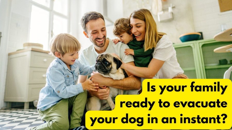 is your family ready to evacuate your dog in an instant?