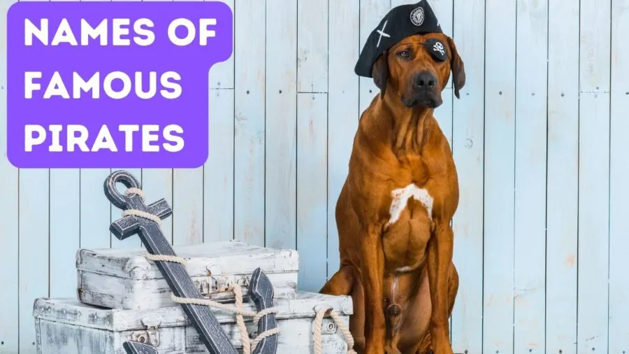 Names of Famous Pirates - dog names