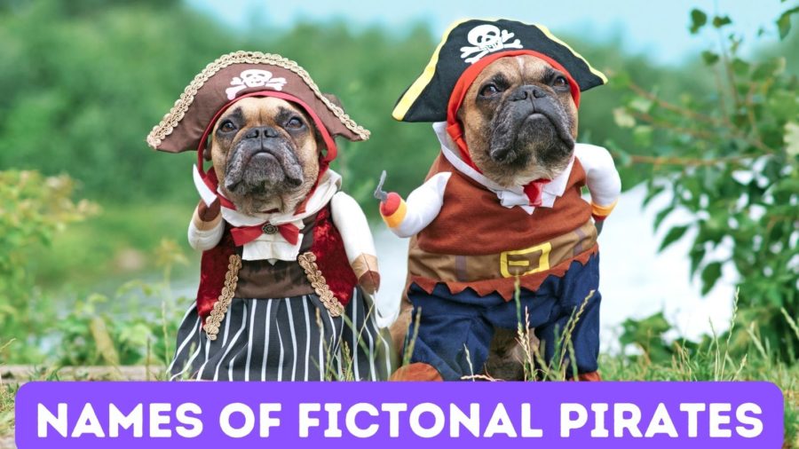 Fictional Pirates - names that make good names for dogs