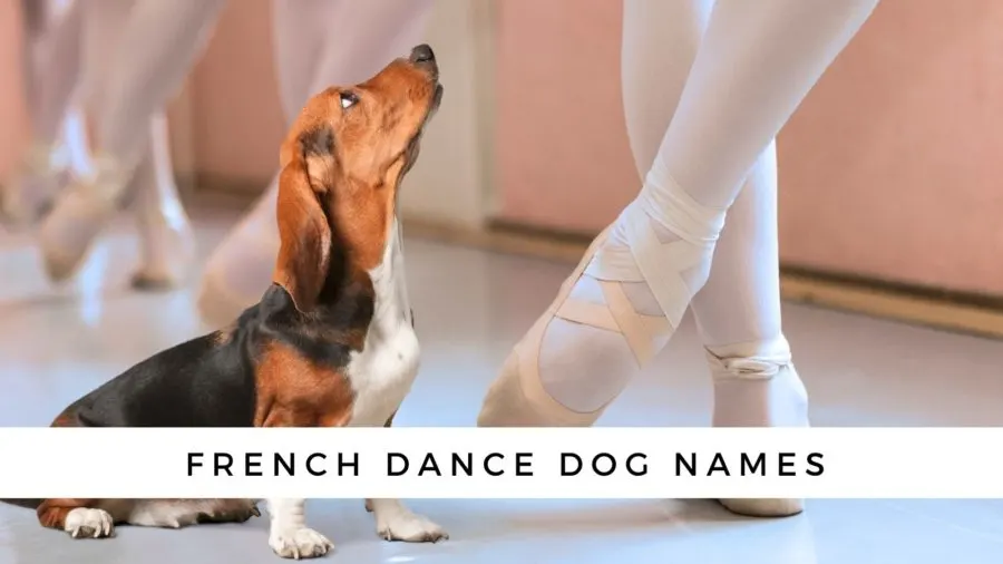 French dance dog names