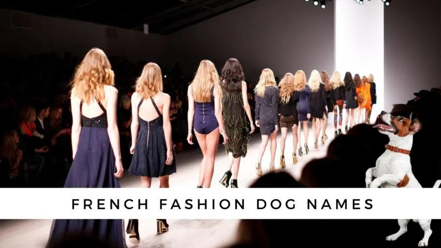 French fashion dog names