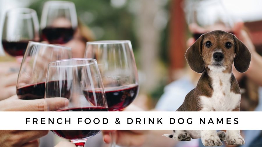 French food, drink dog names