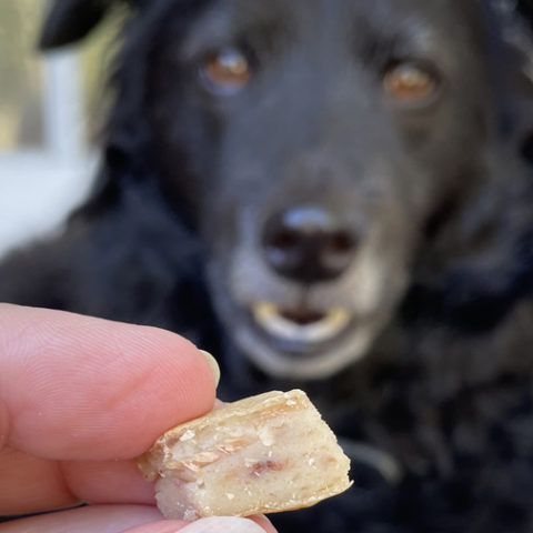 Tuna Fudge for Dogs