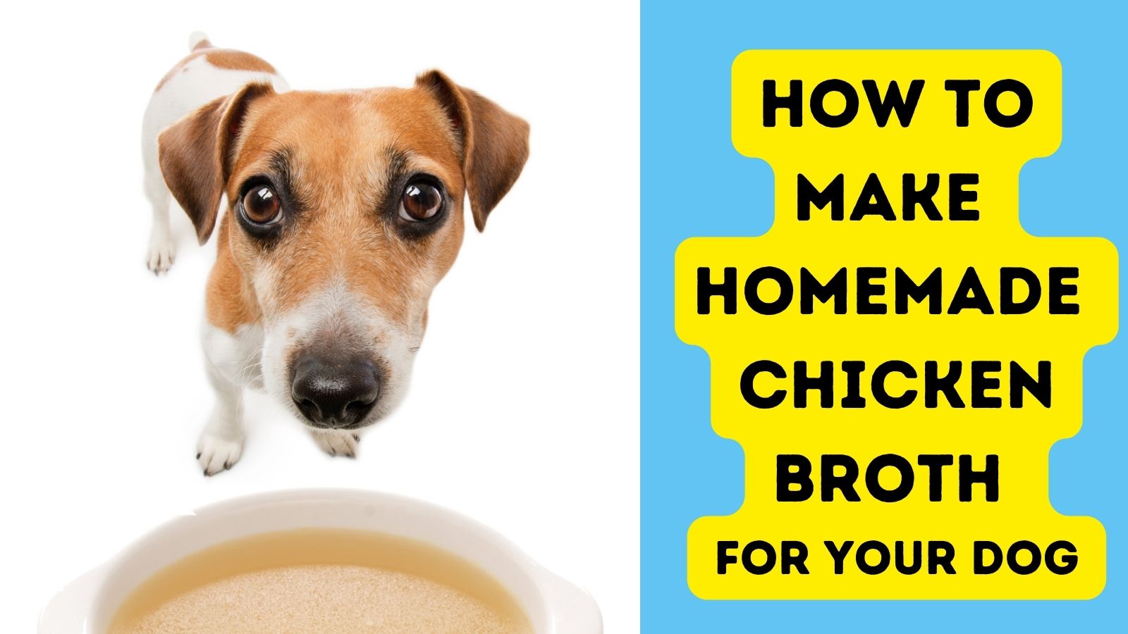 How To Make Homemade Chicken Broth For Your Dog