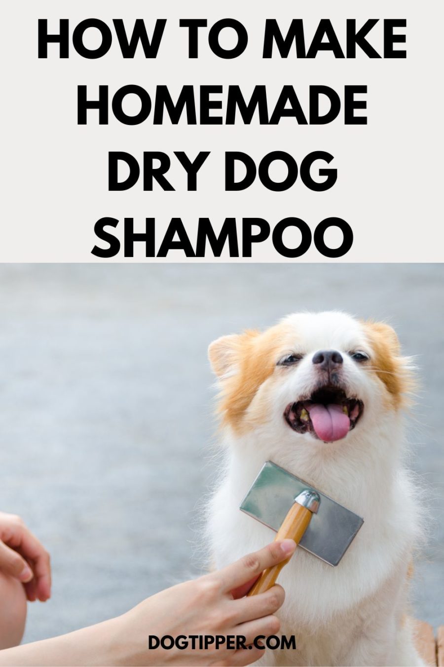 diy dry shampoo for dogs -- recipe