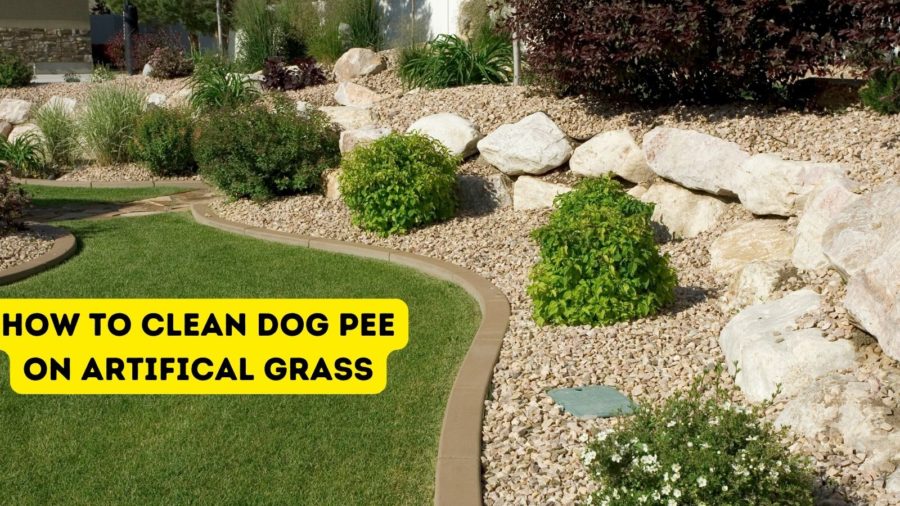 How to get rid of the smell of dog urine from artificial grass 