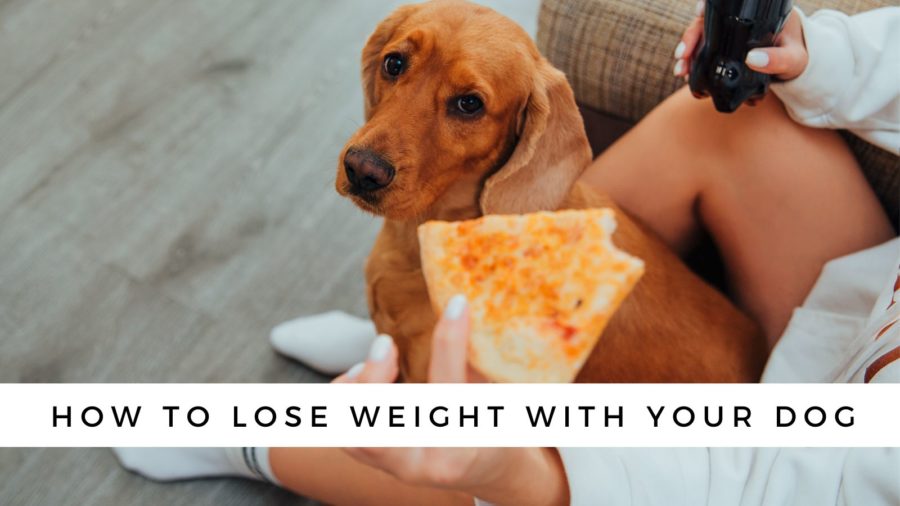 How to Lose Weight with Your Dog