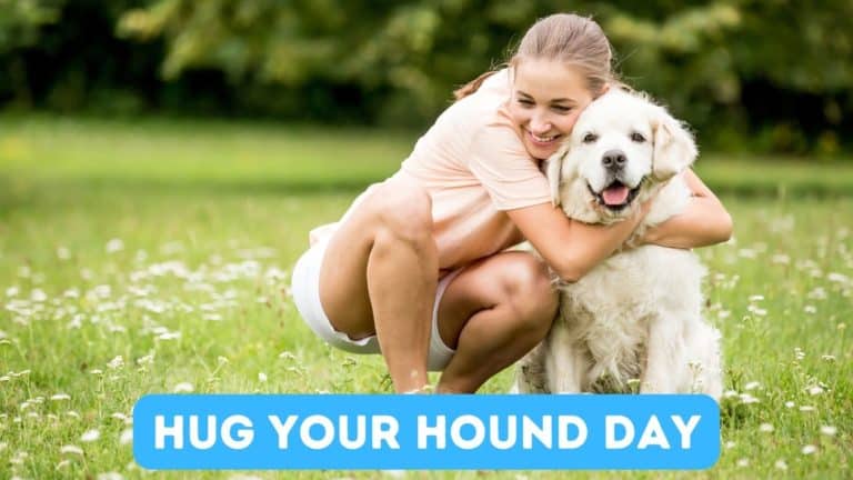 Hug Your Hound Day
