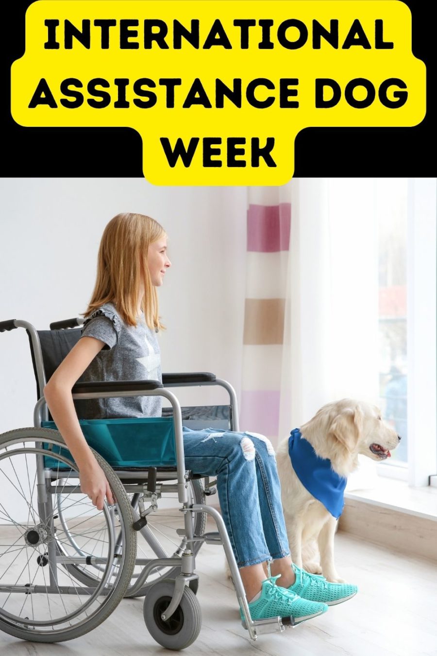 International Assistance Dog Week