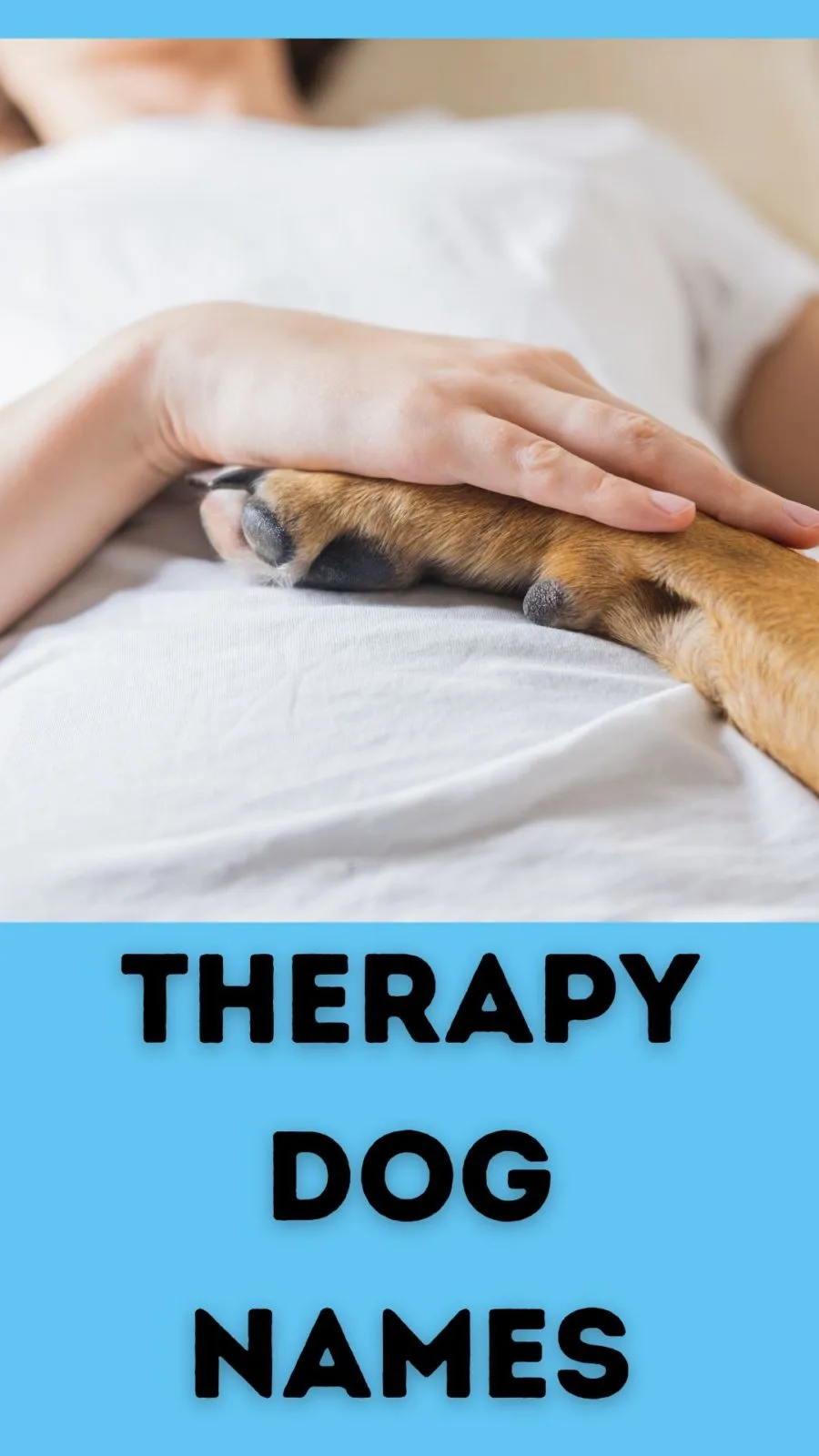 Therapy Dog Names