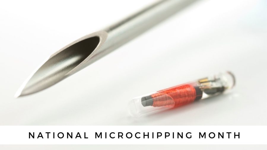 national microchipping month