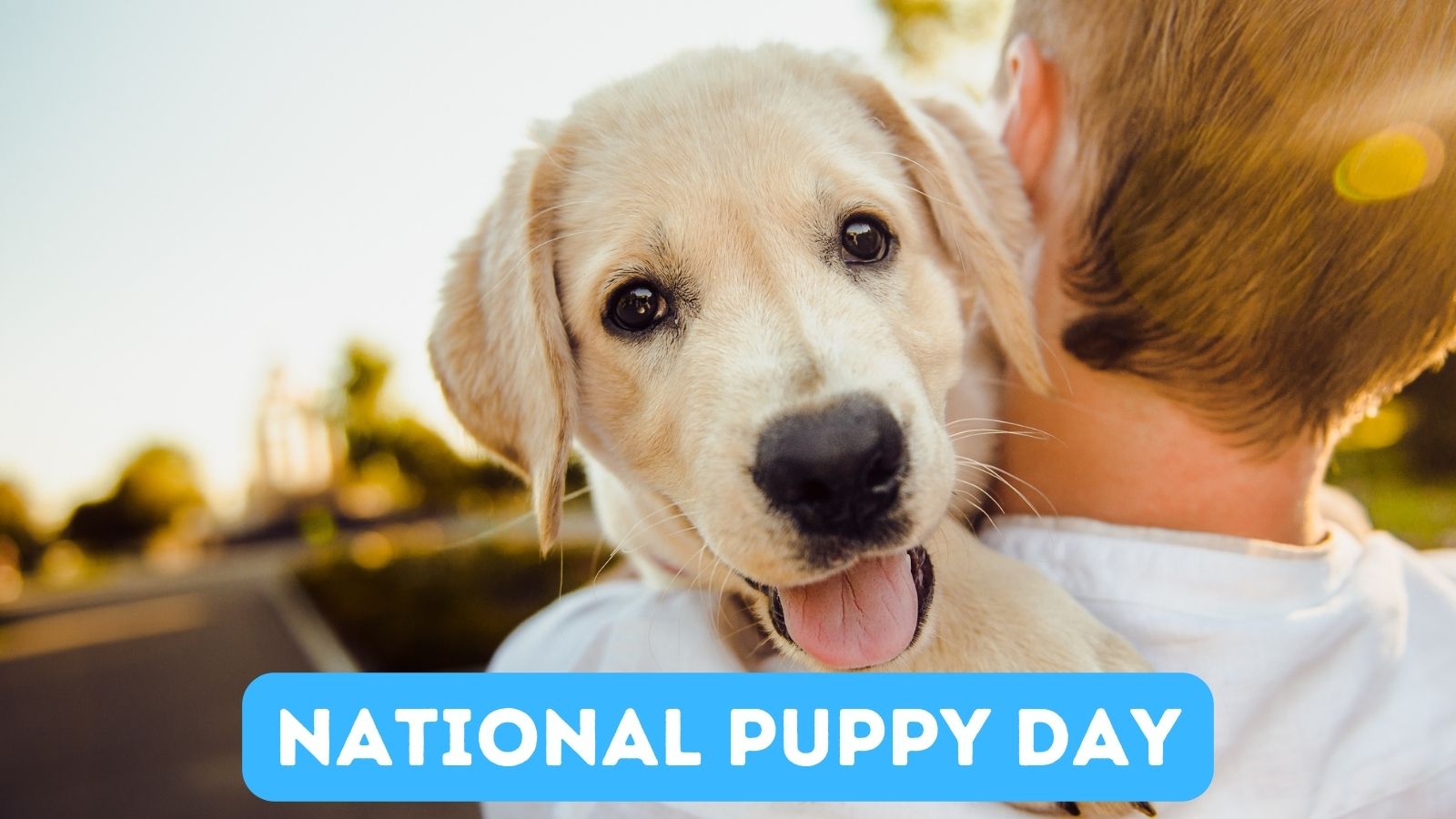 who created national puppy day