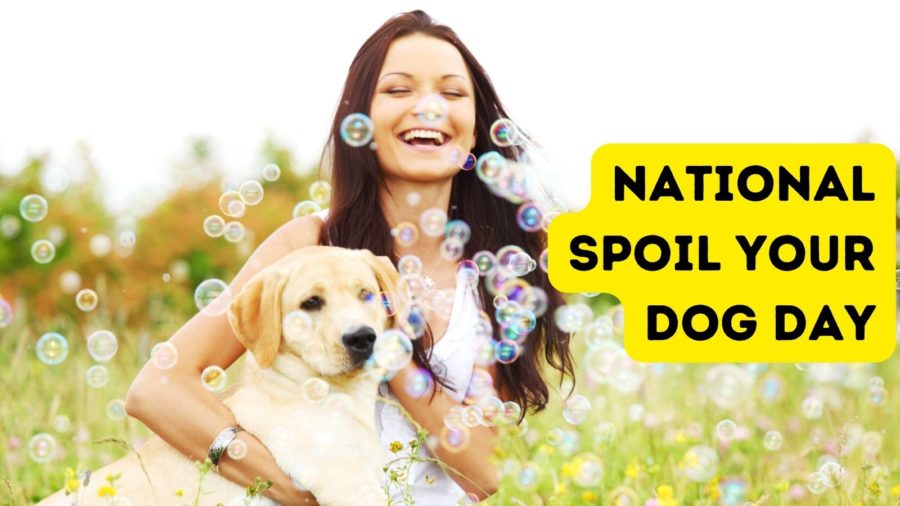 National Spoil Your Dog Day