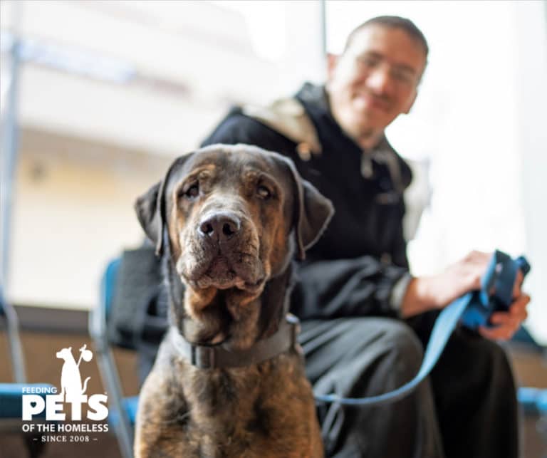 2023 Give a Dog a Bone Week Helps Dogs of the Homeless