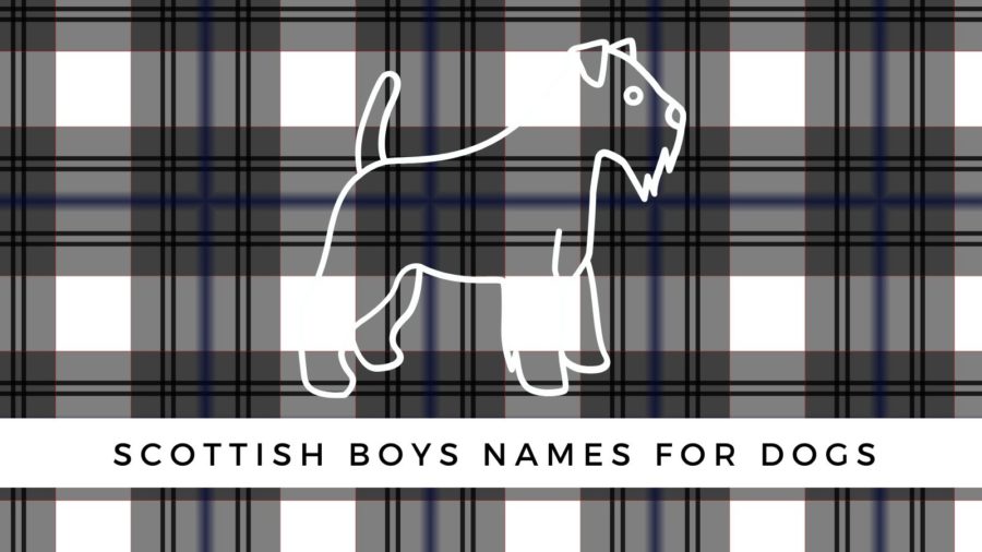 Scottish boys names