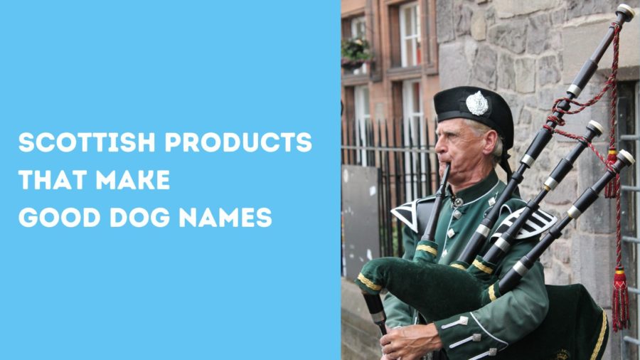 Scottish Foods and Products that make good Scottish dog names