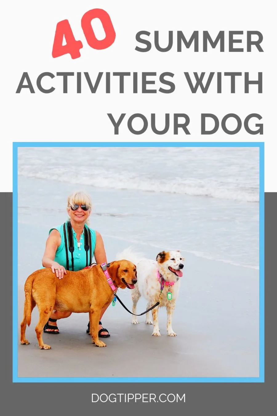 40 activities to enjoy with your dog this summer!