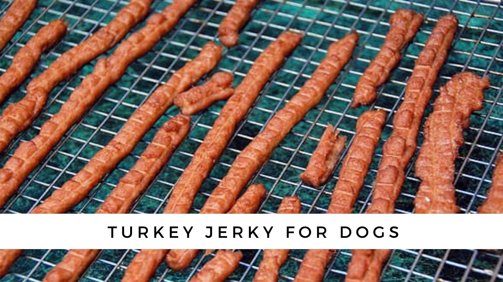 Turkey Jerky for Dogs {Oven Recipe}
