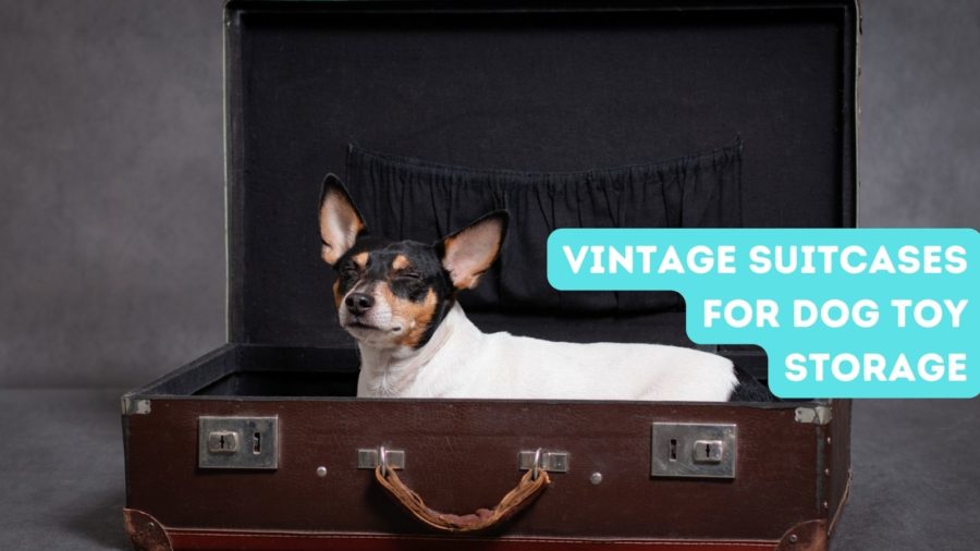 dog toy storage in vintage suitcases