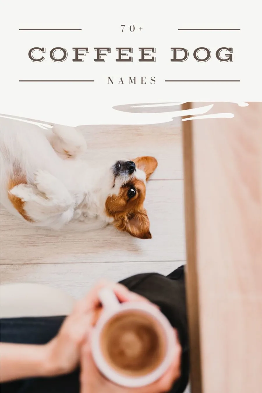 70+ Coffee Dog Names