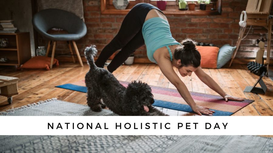 dog and woman doing yoga on mat