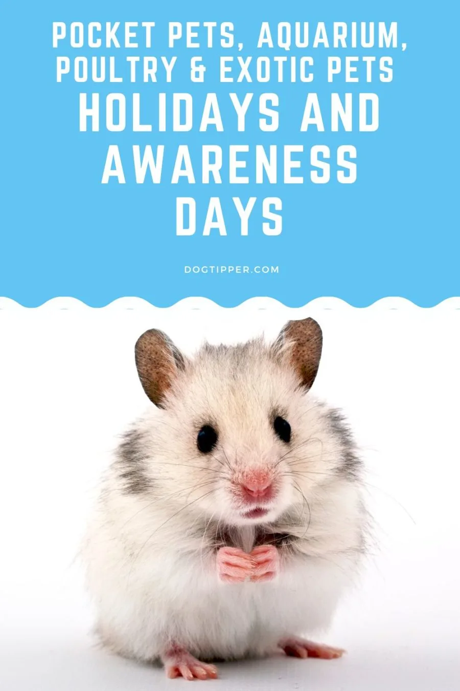 Pocket Pets, Birds, Fish, Poultry and Exotic Pets: Holidays & Awareness Days and Months